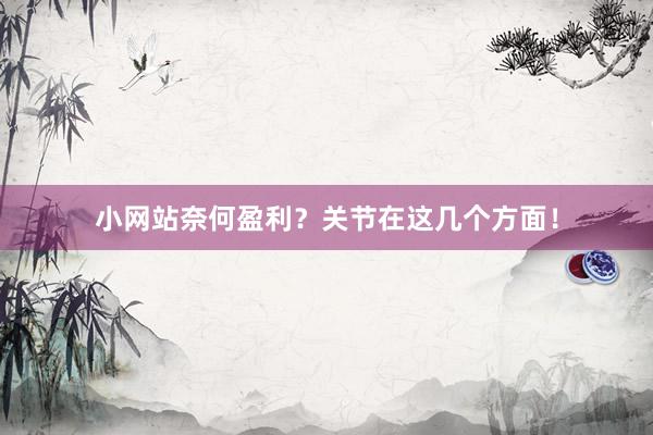 小网站奈何盈利？关节在这几个方面！