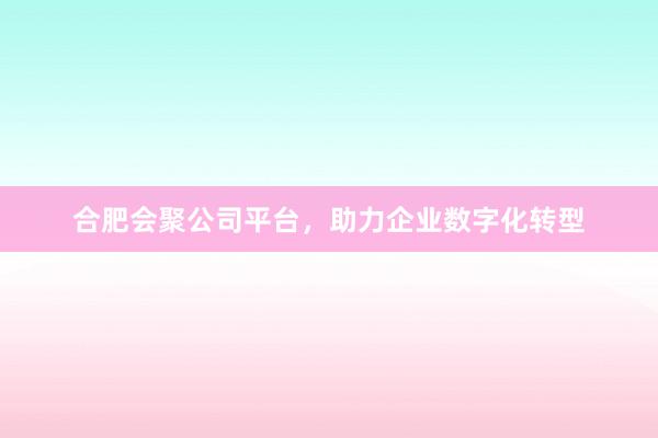 合肥会聚公司平台，助力企业数字化转型
