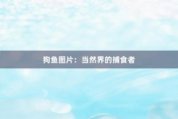狗鱼图片：当然界的捕食者